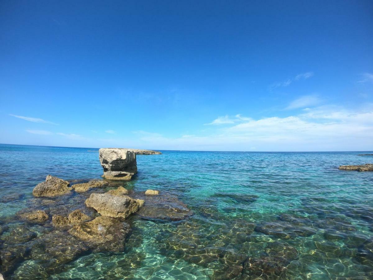 Apartahotel La Pineta
